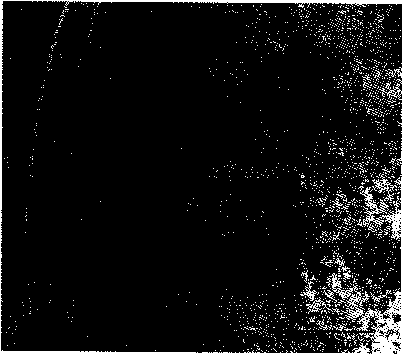 Molecular imprinting monolithic column, preparation method and application thereof