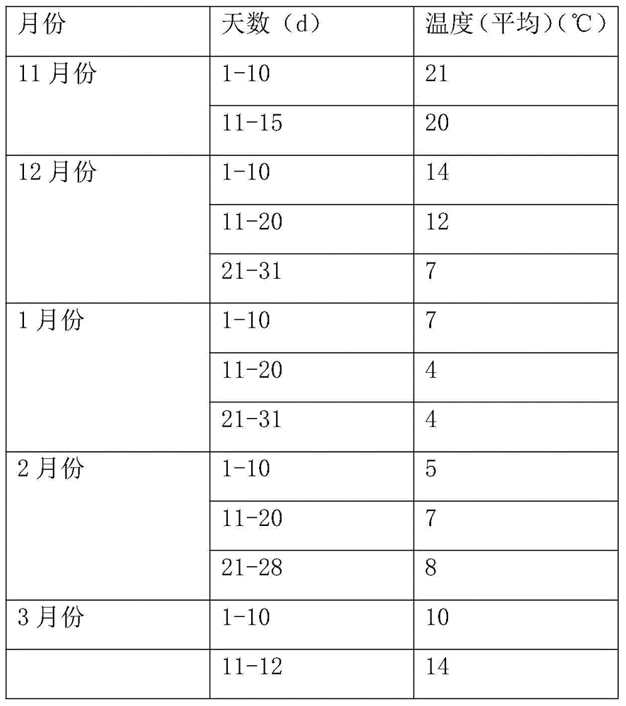 High-yield pea planting method