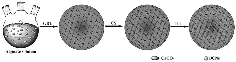 Functional Drug Sustained-release Medical Dressing Constructed by Alginate Aminated Derivatives/Bacterial Cellulose Nanocrystal Composite Gel