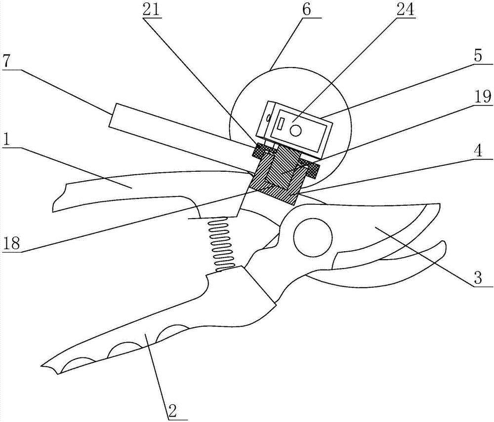 Branch pruning device for cutting plants