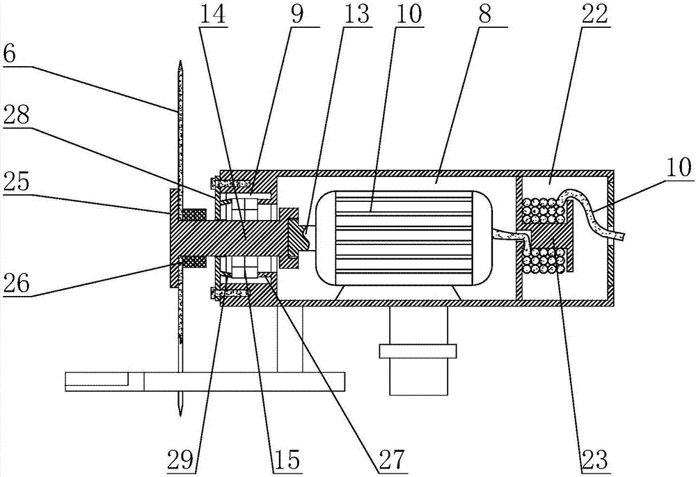 Branch pruning device for cutting plants