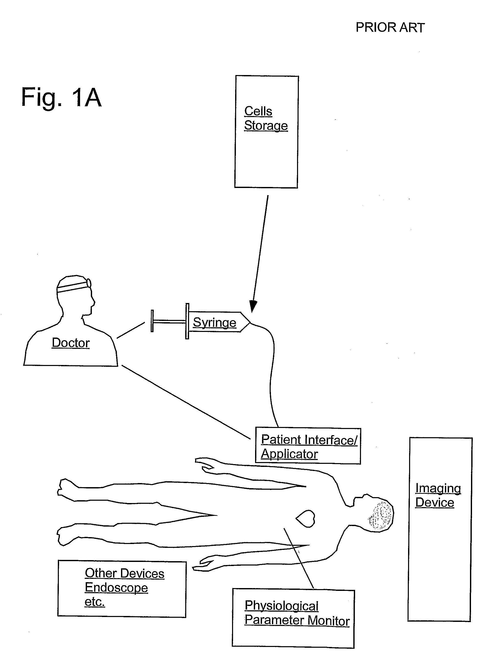 Delivery of Agents Such as Cells to Tissue