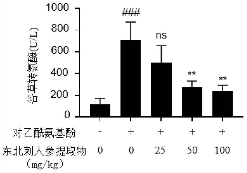 OplopanaxelatusNakai chlorogenic acid extract and preparation method and application thereof