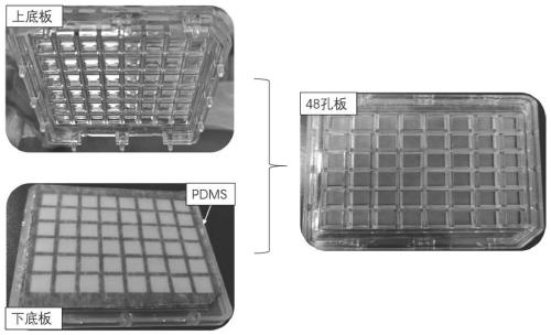 Three-dimensional biological detection system based on fluorescent quantum dots, and preparation method and application thereof