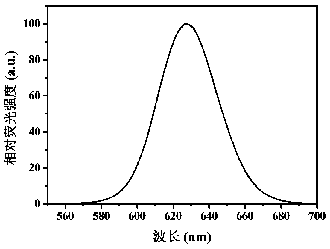 Three-dimensional biological detection system based on fluorescent quantum dots, and preparation method and application thereof