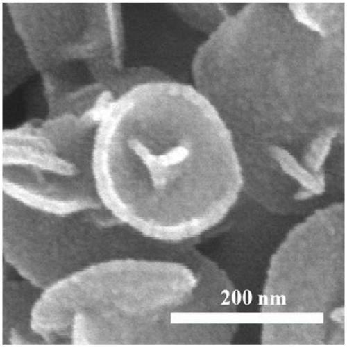 Fe-doped MoS2 nanomaterial as well as preparation method and application thereof