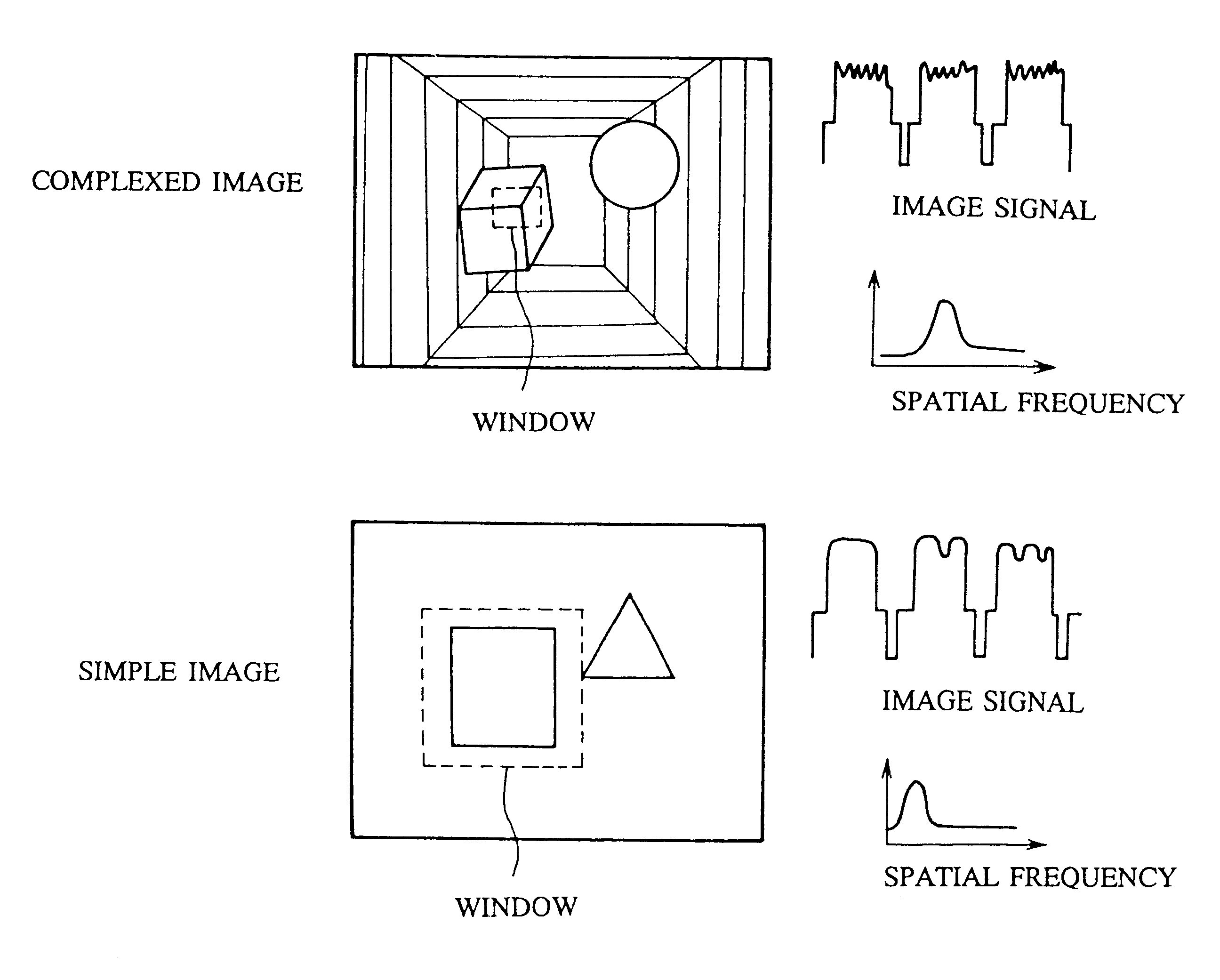 Stereo image display apparatus