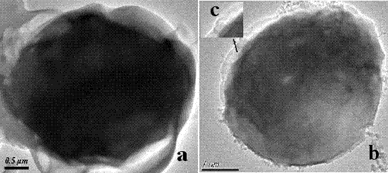 Yeast surface atom transfer imprinted adsorbent, and preparation method and application thereof