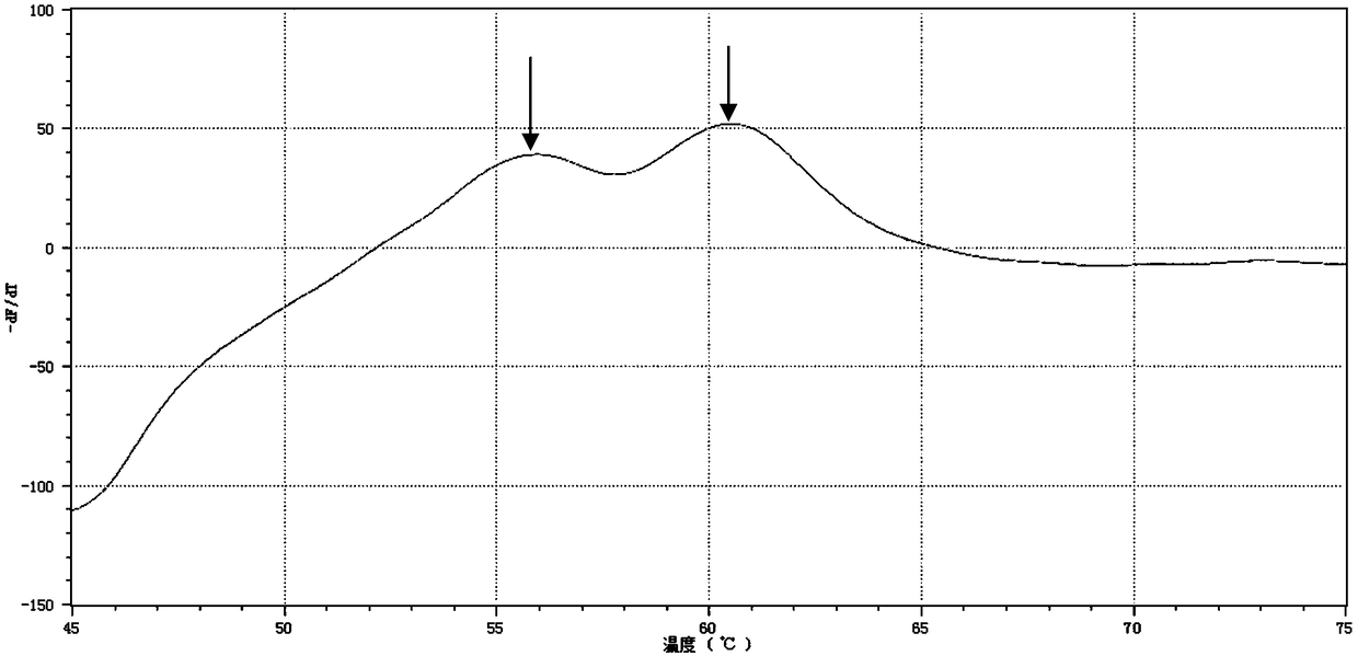 Primer probe group for detecting rs1045642 and application of primer probe group