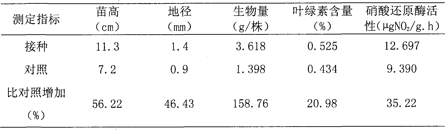 Nitrogen-fixing bacillus megaterium strain DL7 and application thereof