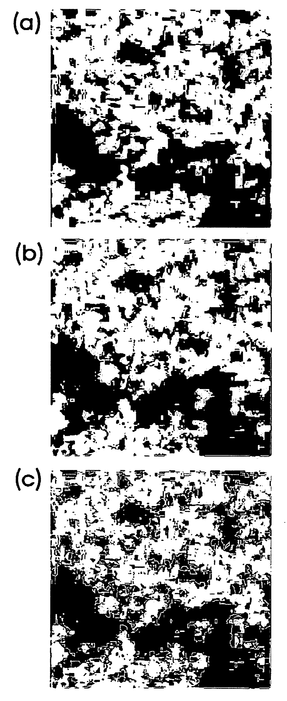 Evaluation method of organic or bio-conjugation on nanoparticles using imaging of time-of-flight secondary ion mass spectrometry