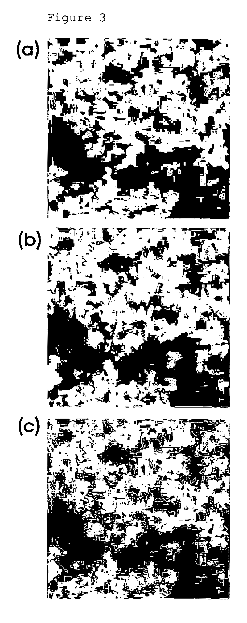 Evaluation method of organic or bio-conjugation on nanoparticles using imaging of time-of-flight secondary ion mass spectrometry