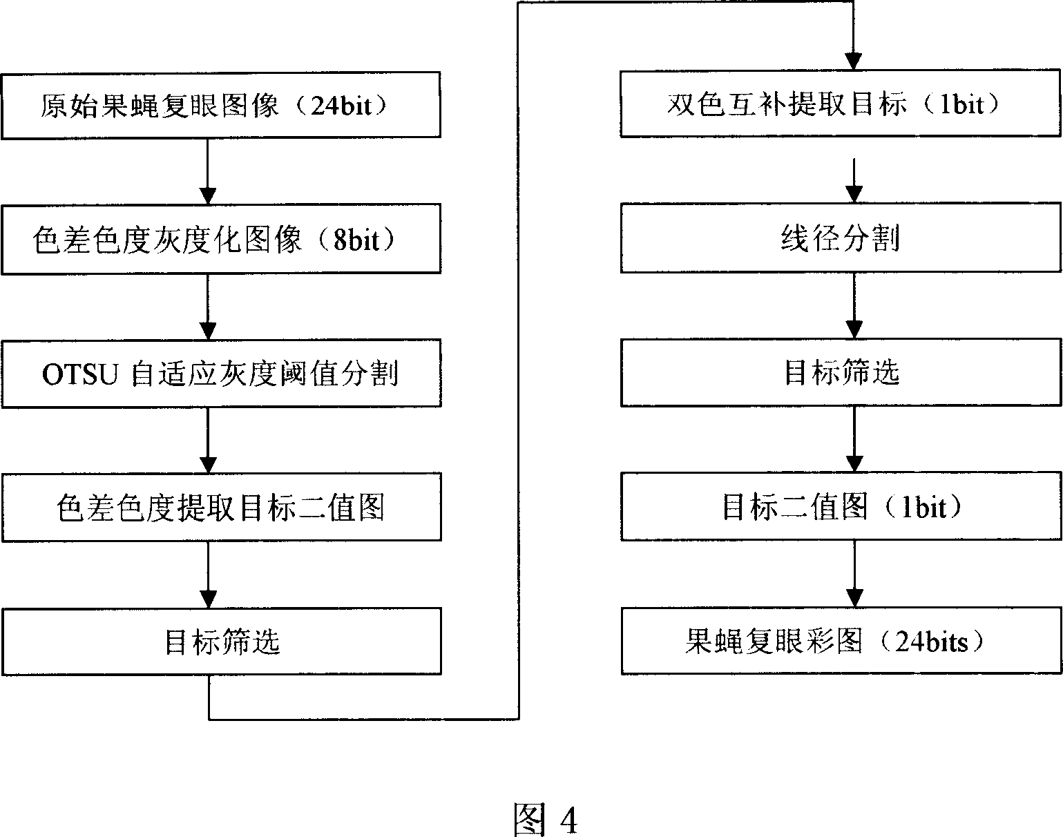 Image recognition diagnosis method for fruit fly compound eye disease