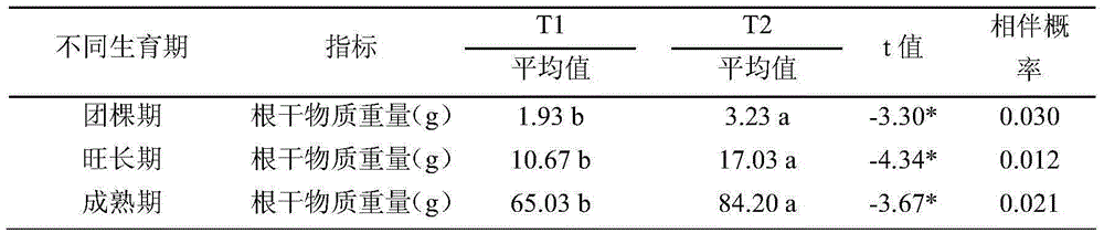 Composite growth promoter for promoting tobacco growth