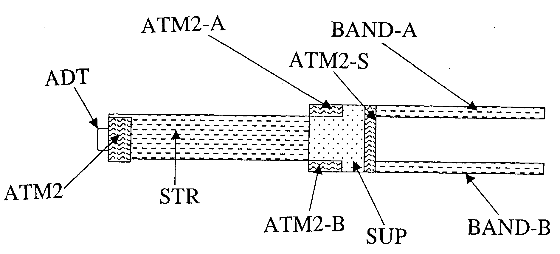 Daneshvar wound dressing, support units and methods, model jasmine