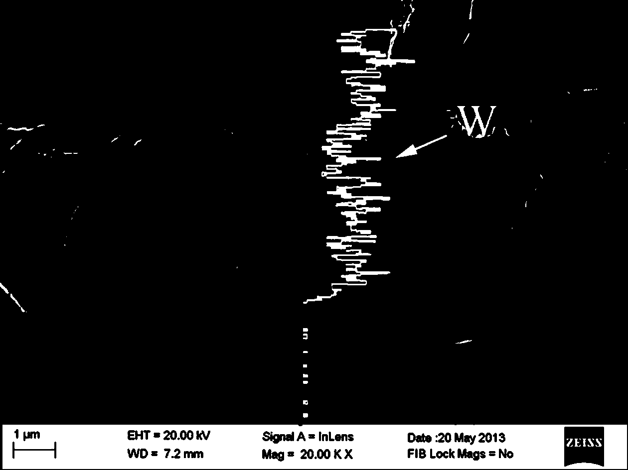 Method for welding CVD diamond thick film and hard alloy