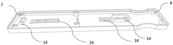 Ocular surface liquid collecting and detecting device