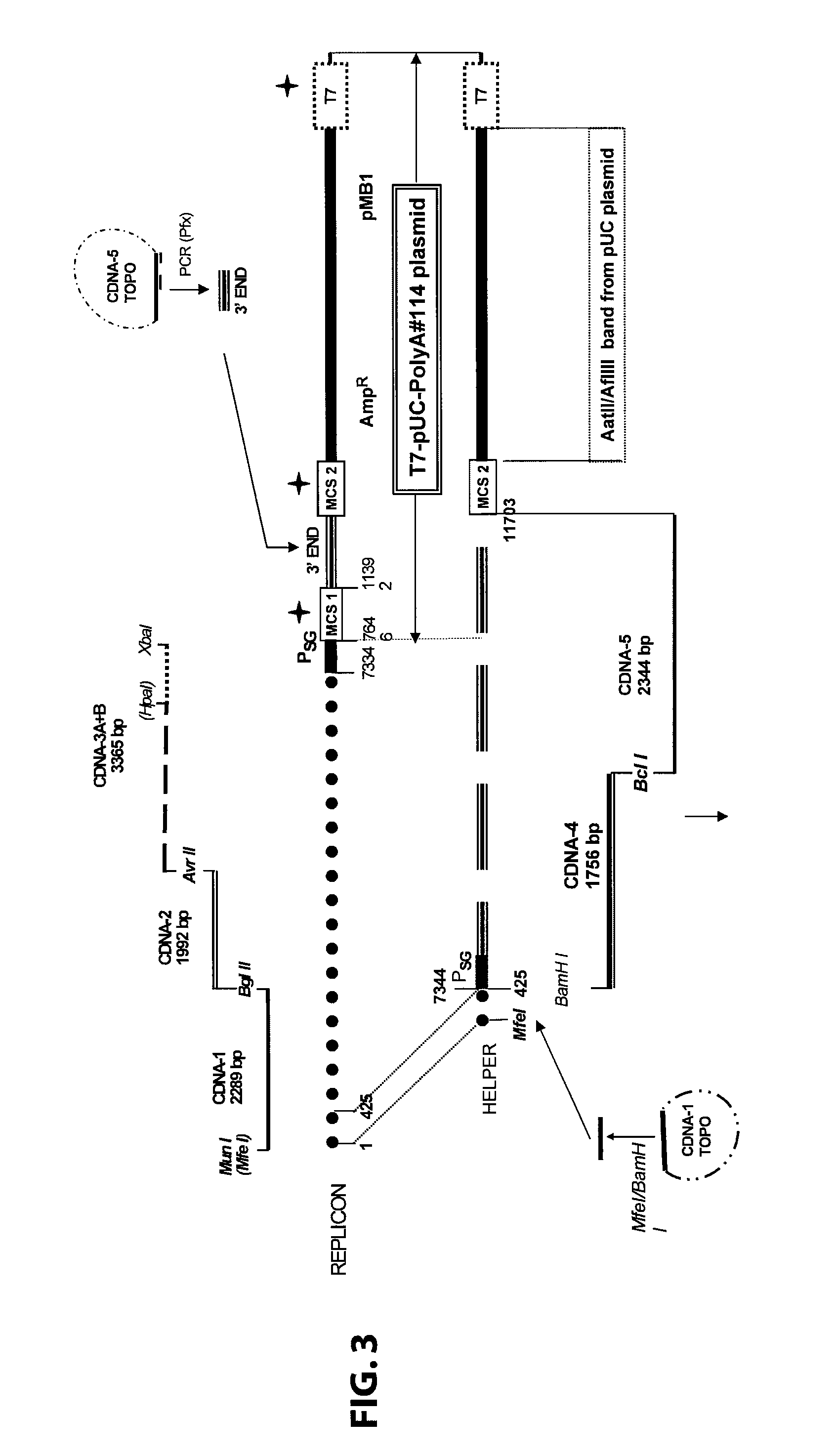 Defective sindbis viral vectors