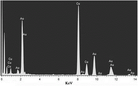 3D pentacle gold nanoparticle and preparation method thereof