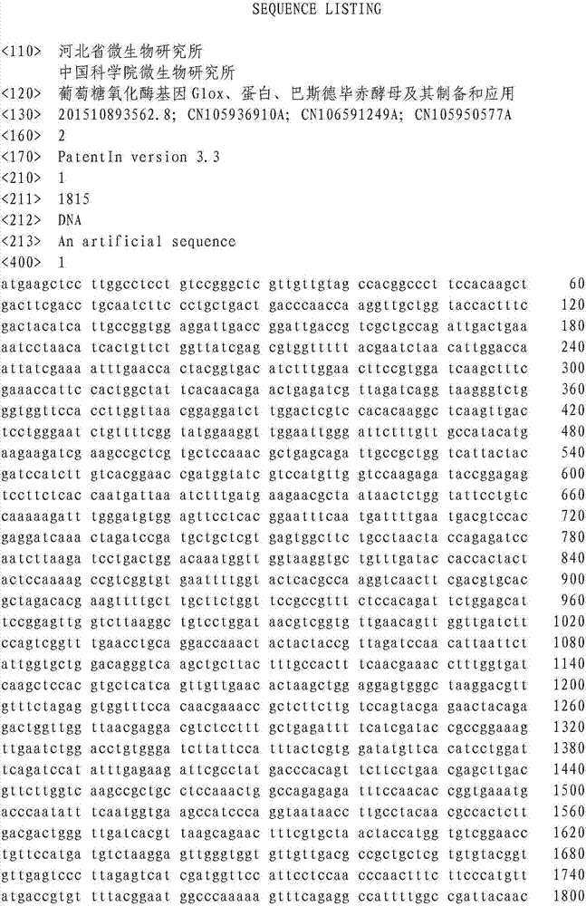 Glucose oxidase gene Glox, protein, pichia pastoris and preparation and application of pichia pastoris