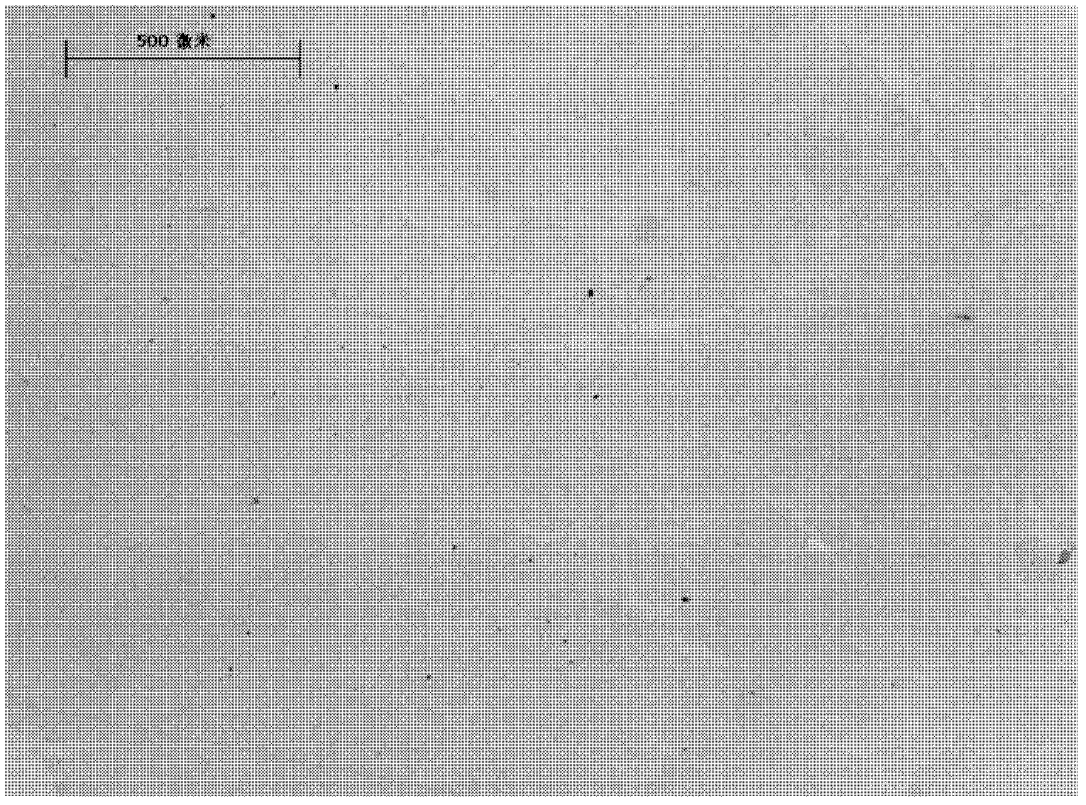 Oxidized graphene film, graphene film, preparation method and application thereof