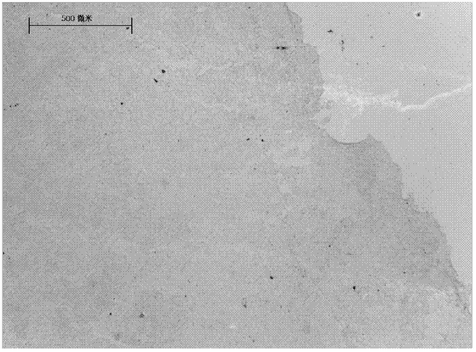 Oxidized graphene film, graphene film, preparation method and application thereof