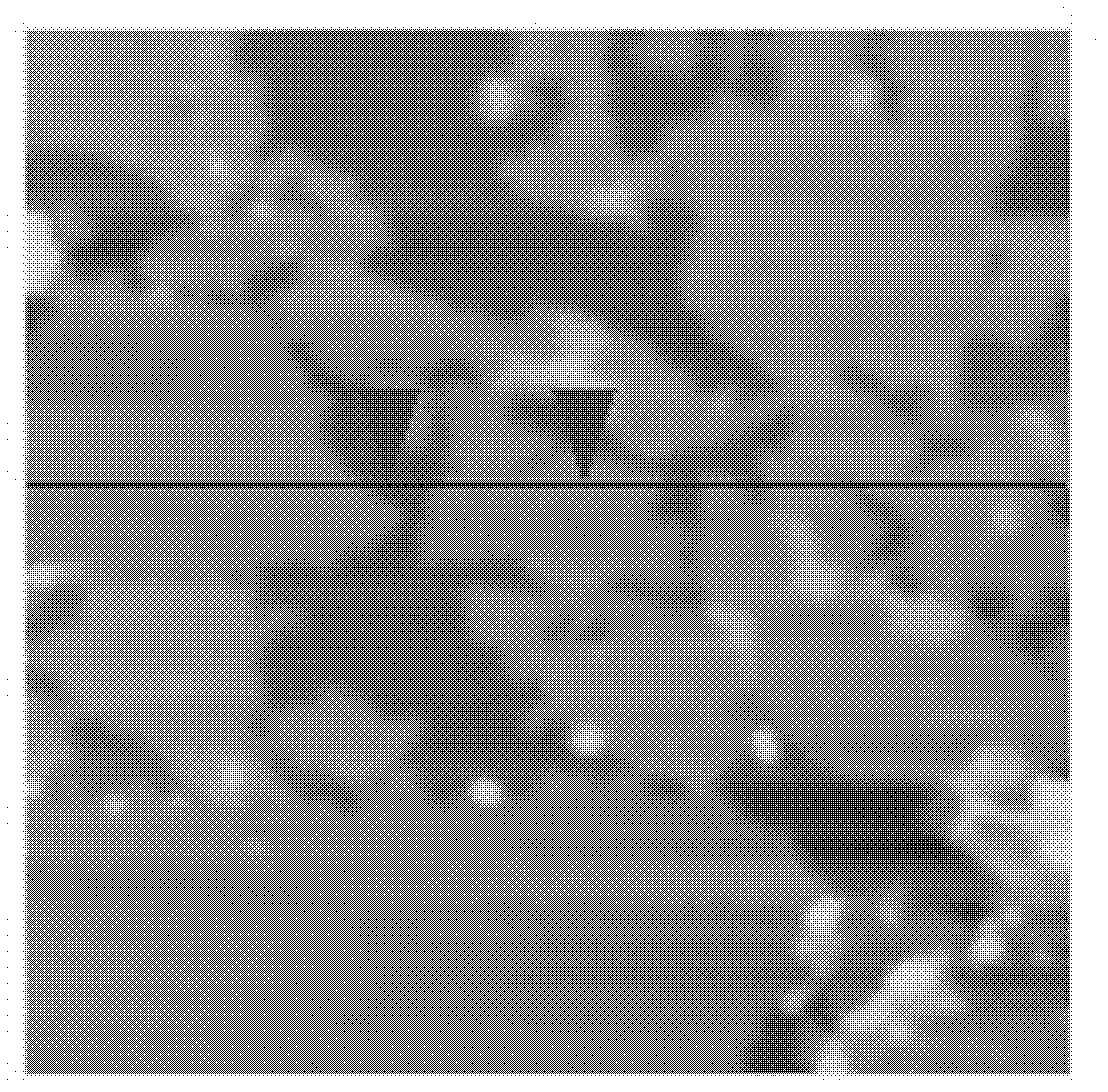 Oxidized graphene film, graphene film, preparation method and application thereof