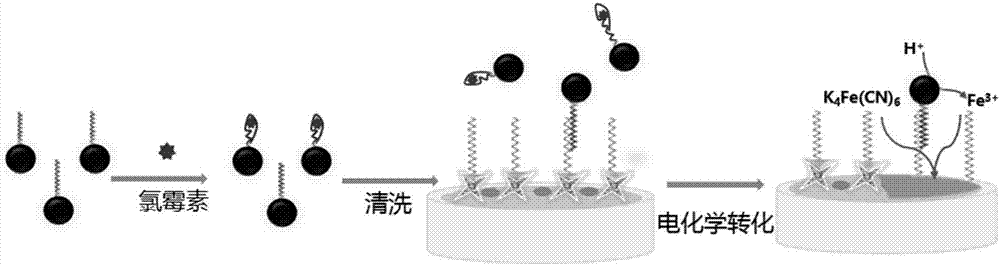 Magnetic separation-signal amplification integrated chloramphenicol detection biosensor and method