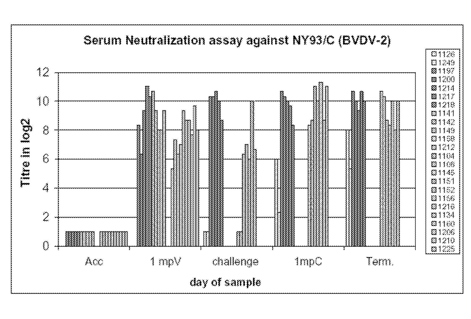 Combination vaccine comprising an attenuated bovine viral diarrhea virus