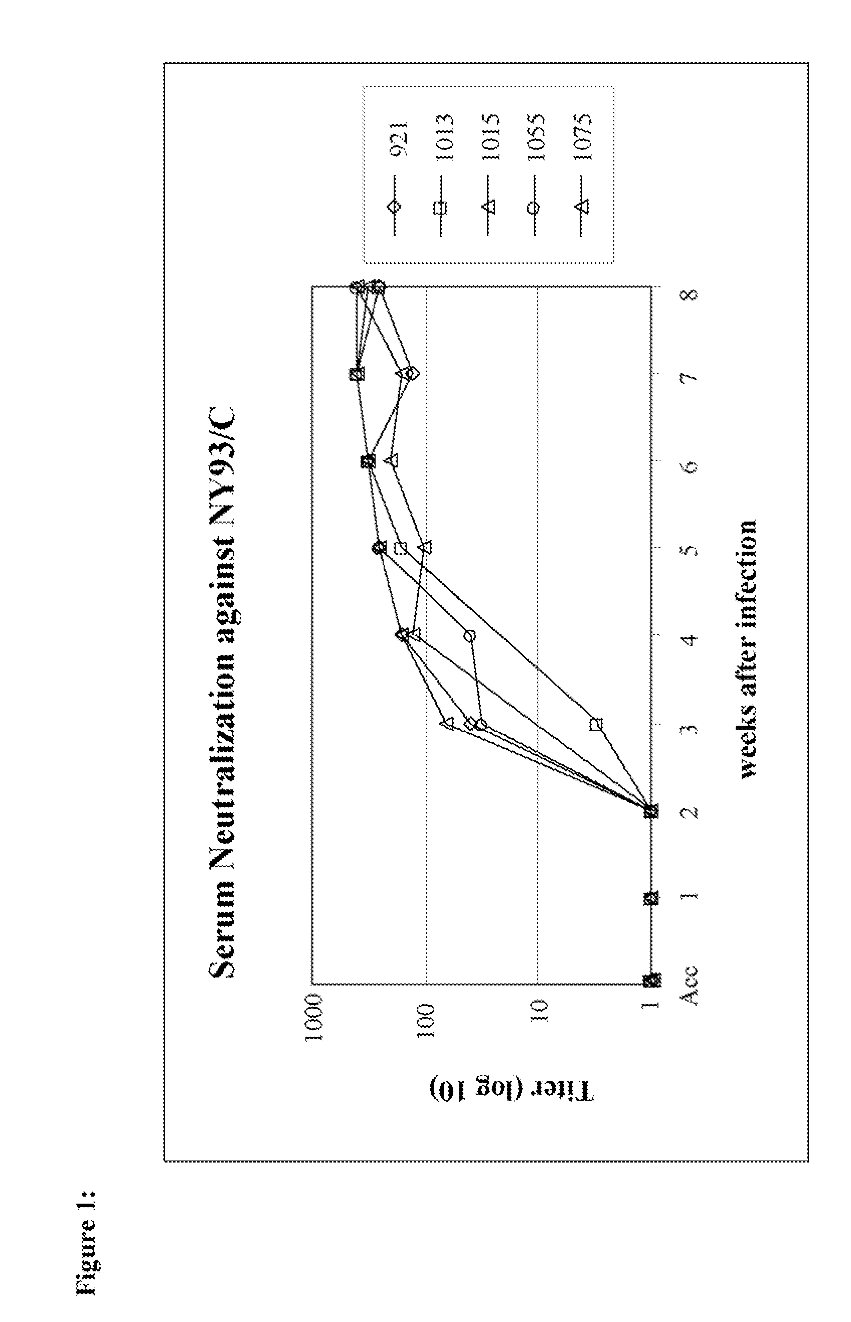 Combination vaccine comprising an attenuated bovine viral diarrhea virus