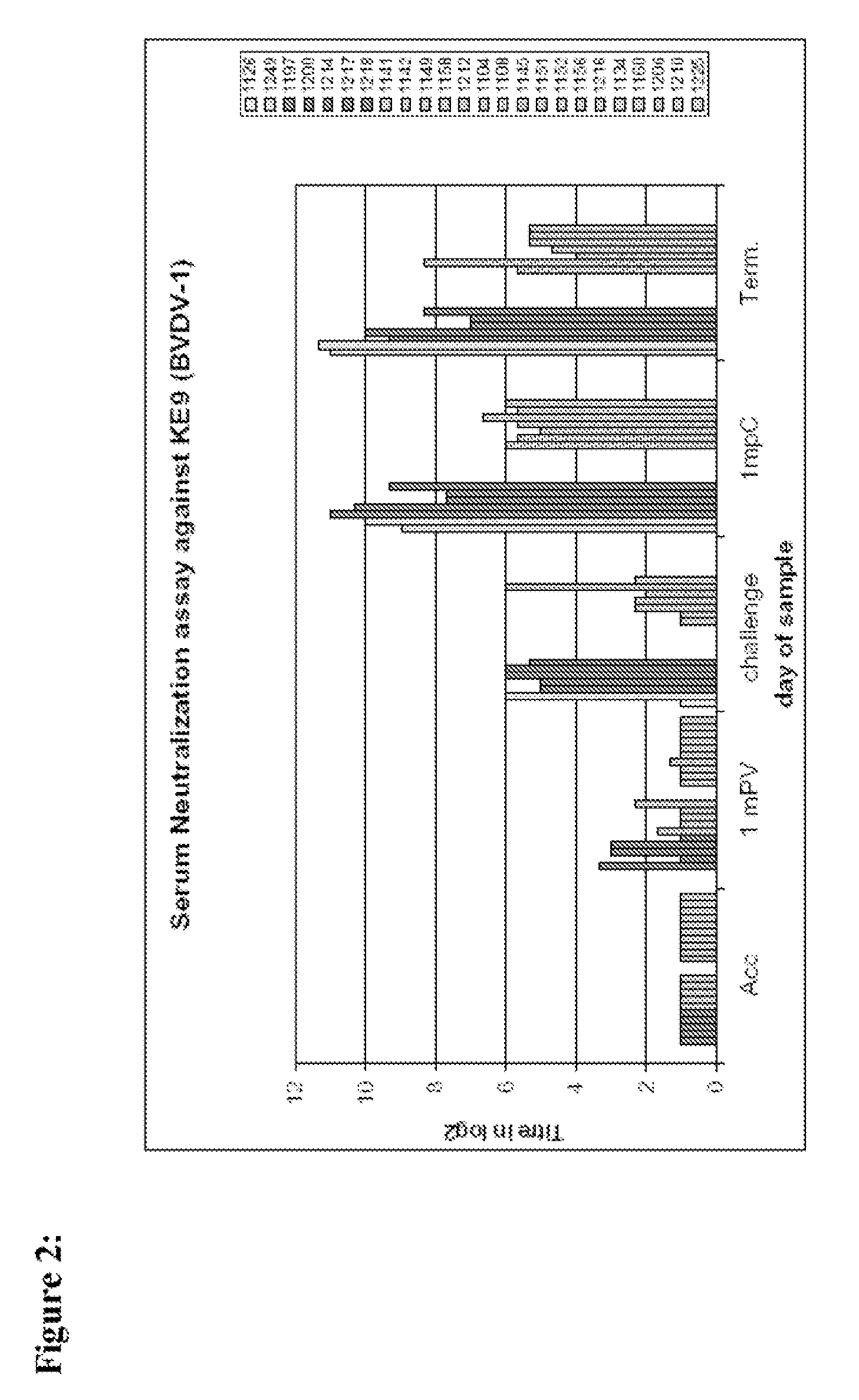 Combination vaccine comprising an attenuated bovine viral diarrhea virus