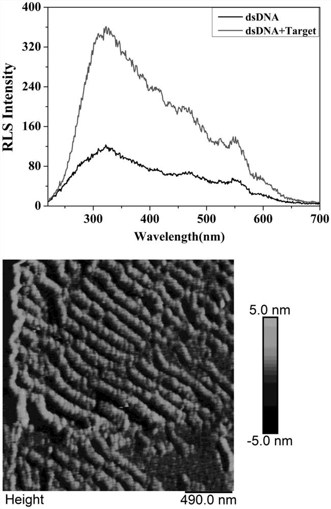 A resonant light detection kit and method for detecting miRNA-122 based on a g-wire nanostructure