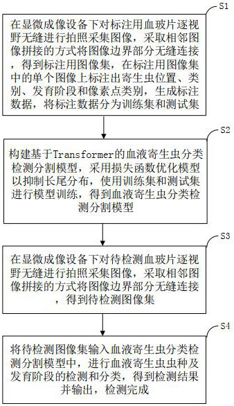 A Bottom-Up Classification Method of Parasite Species Developmental Stages and Image Pixels