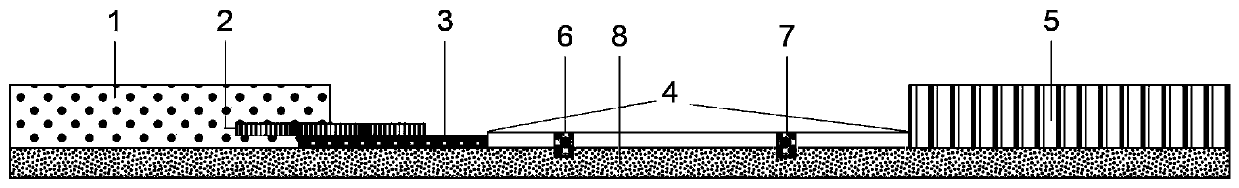 Fluorescence detection test strip for canine coronavirus antibody as well as preparation method and application thereof