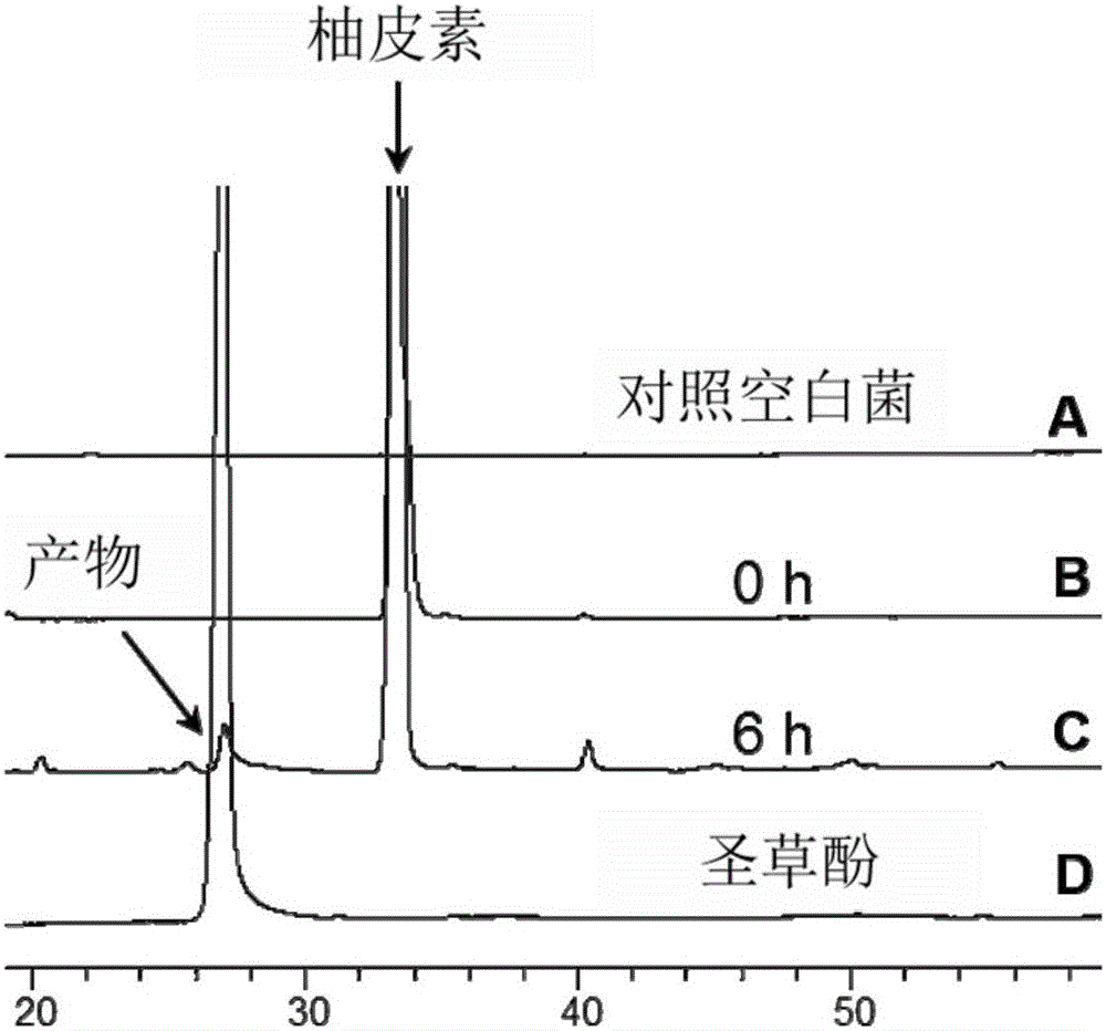 Method for obtaining eriodictyol by biologically transforming naringenin