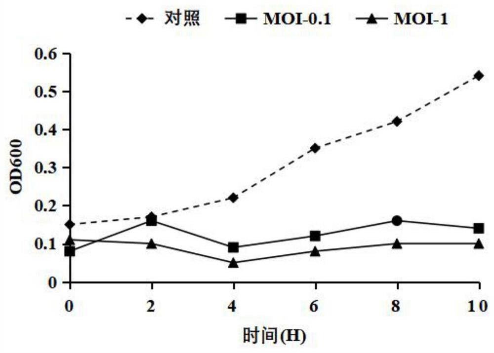 Clostridium perfringens phage, bacteriostatic agent containing phage, preparation method and application