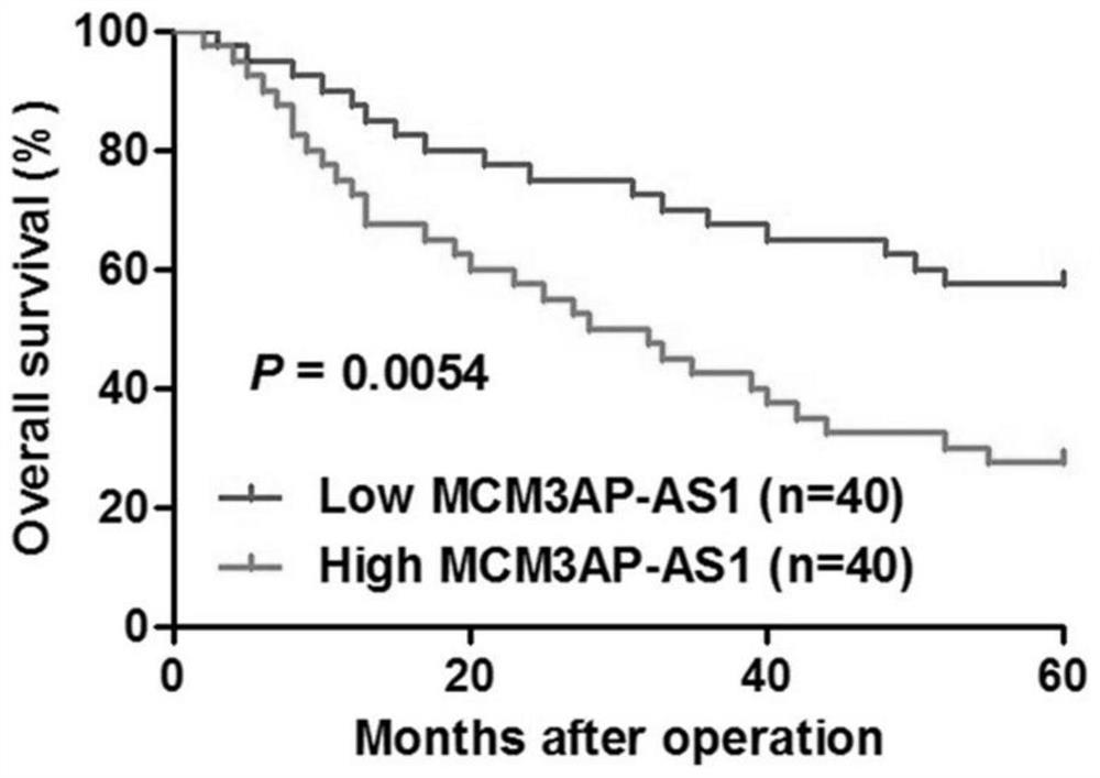 Long-chain non-coding RNA and application thereof in diagnosis and treatment of hepatocellular carcinoma