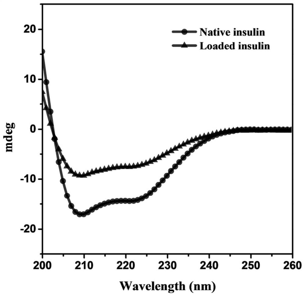 Insulin-loaded sugar-sensitive phenylboronic acid-based epsilon-polylysine particle and preparation method thereof