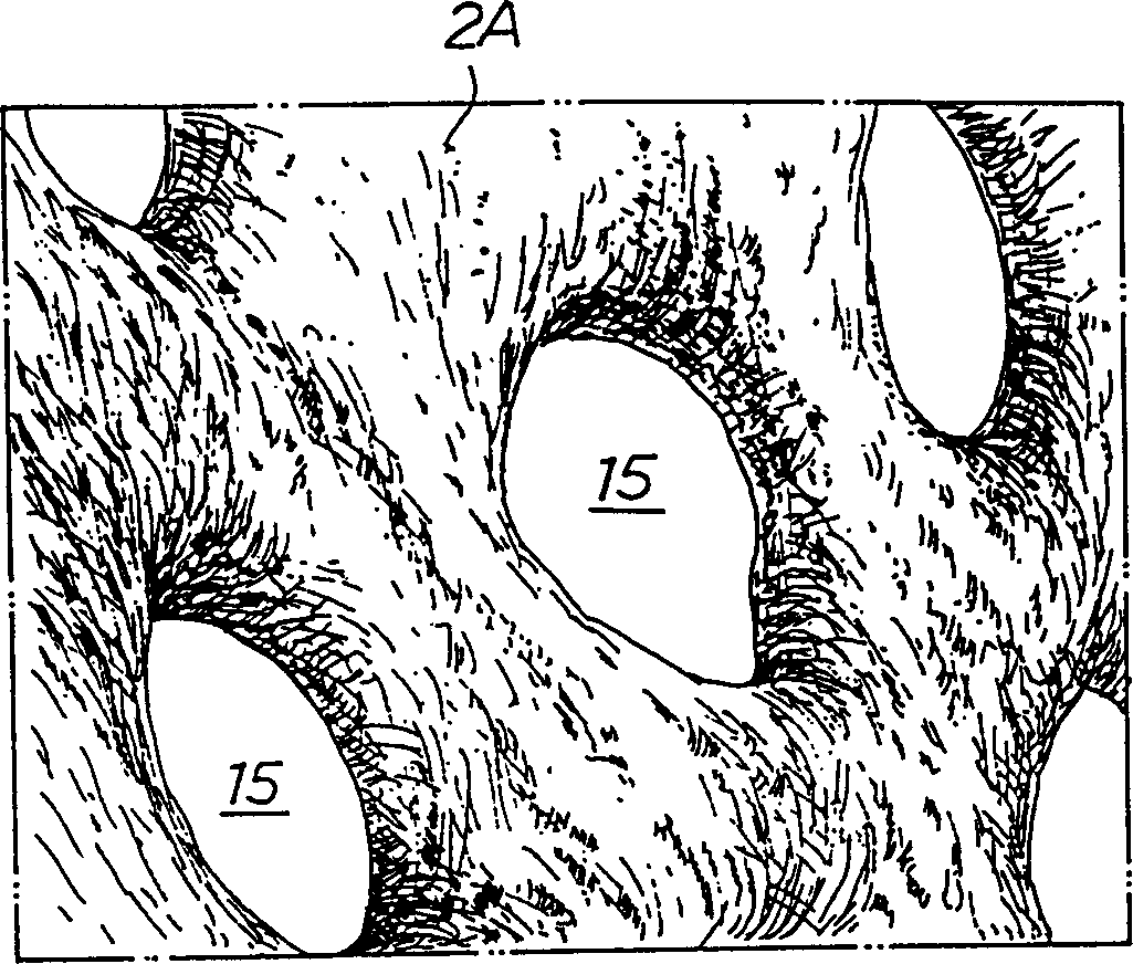 Cloth for covering surface of sbsorbing articles