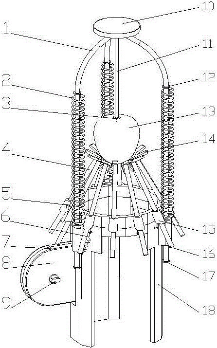 Irregular fruit fast peeling machine