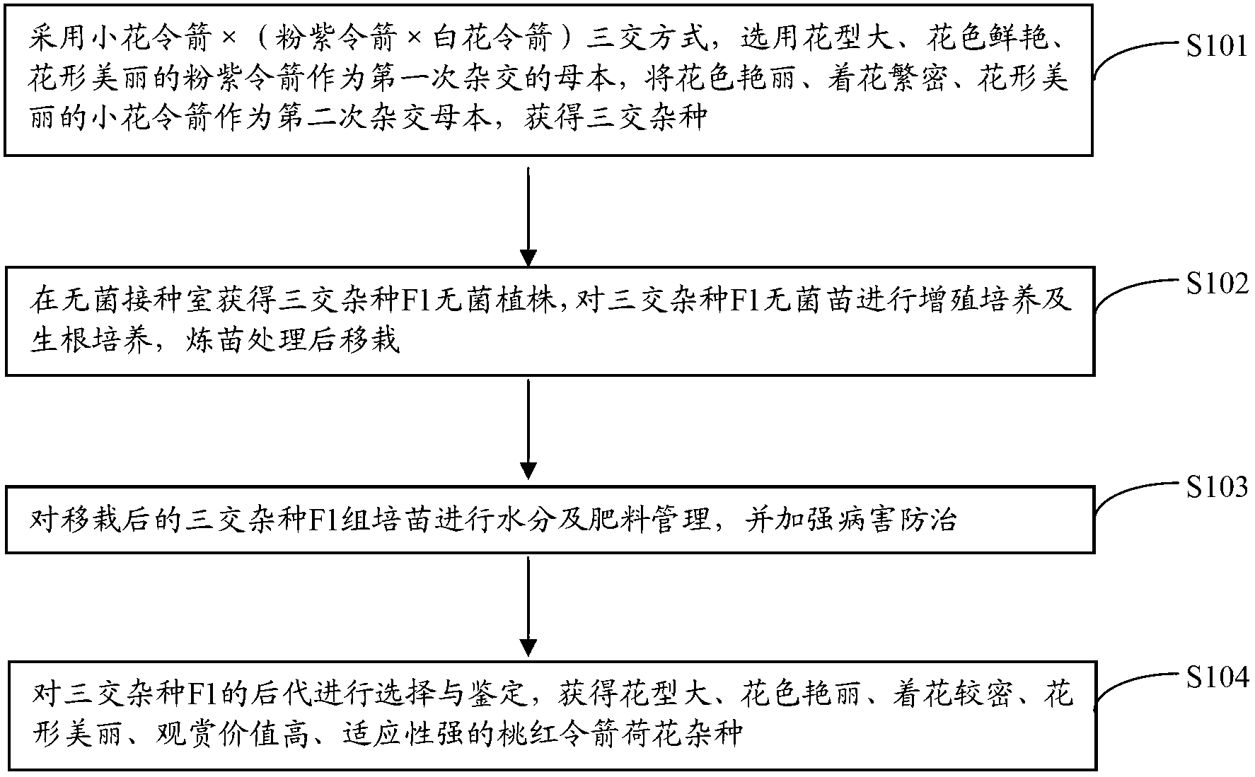 Seed breeding method of peach nopalxochia ackermannii crossed seed