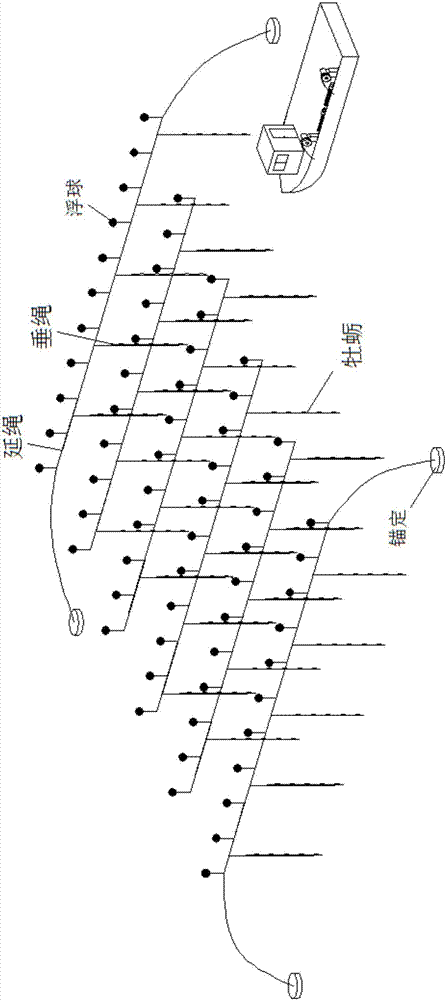 Trotline type cultured oyster mechanized harvest ship and harvest method thereof