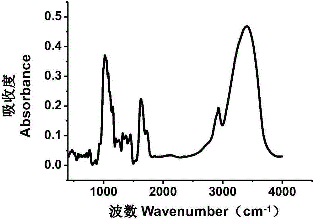 Method of analyzing protein secondary structure in peony on the basis of infrared spectroscopy and Gauss multi-peak fitting