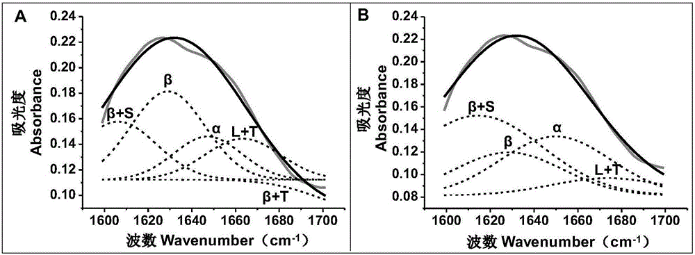 Method of analyzing protein secondary structure in peony on the basis of infrared spectroscopy and Gauss multi-peak fitting