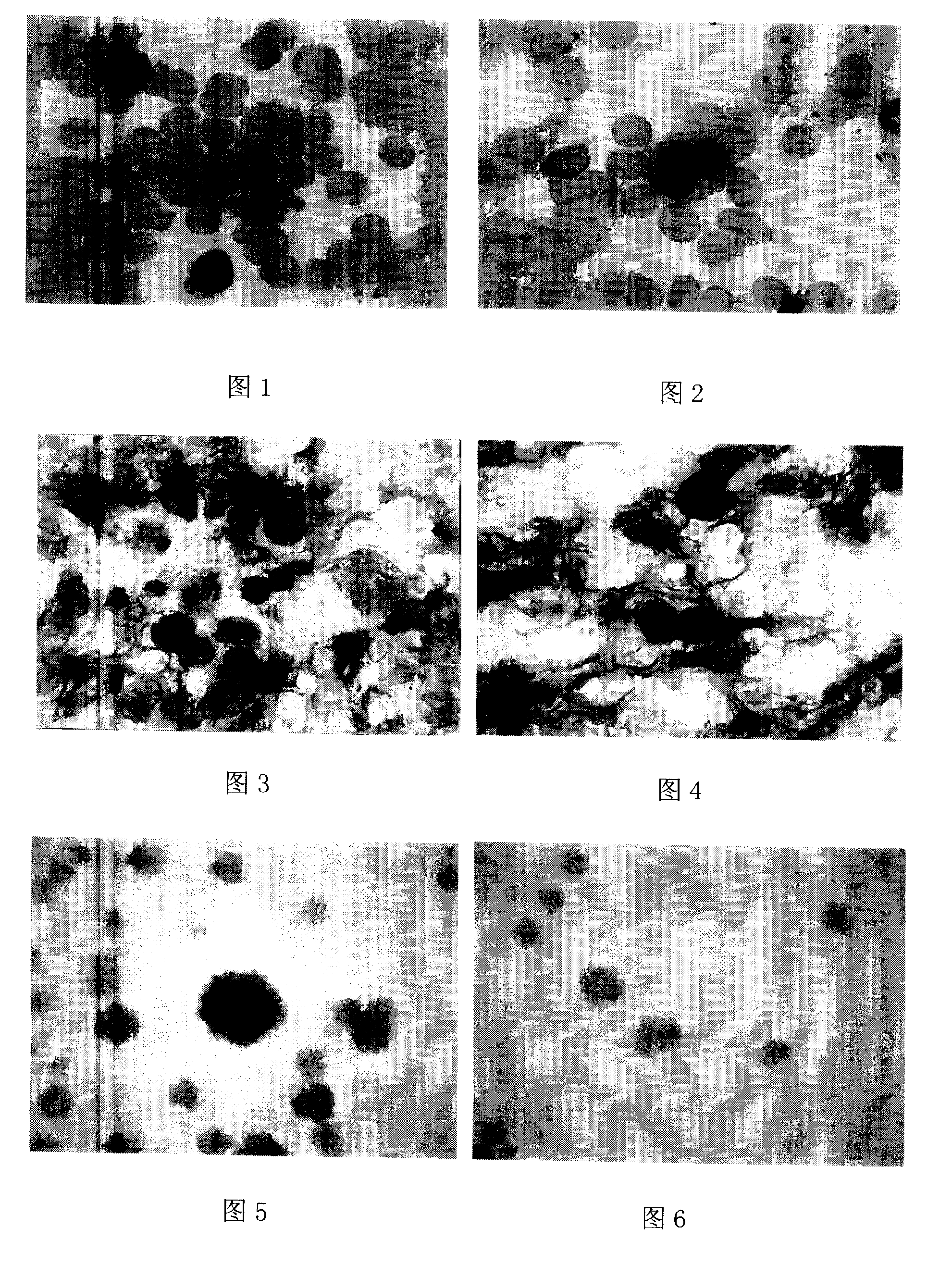 Nutritive composition for accelerating hemopoietic stem cell proliferation and hemoglobin synthesis