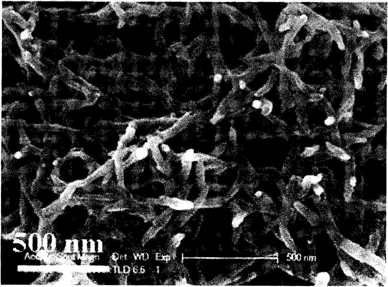 Soluble polyaniline conductive nanofiber and preparation method thereof