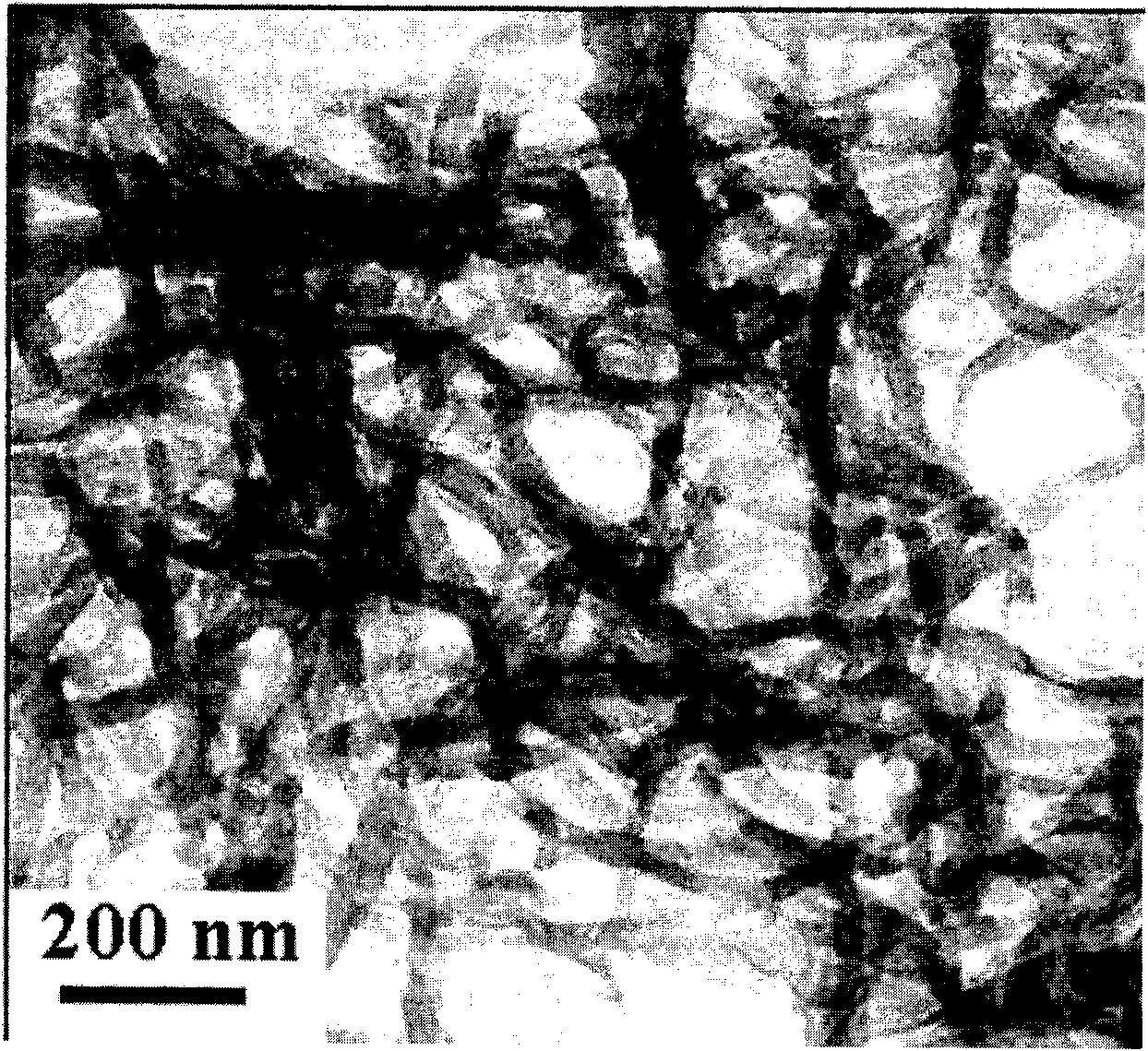 Soluble polyaniline conductive nanofiber and preparation method thereof