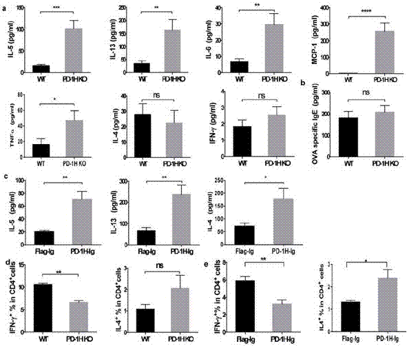 Application of PD-1H agonists to asthma treatment