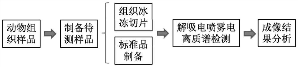 A method for detecting β-adrenoceptor agonist drugs in animal tissue