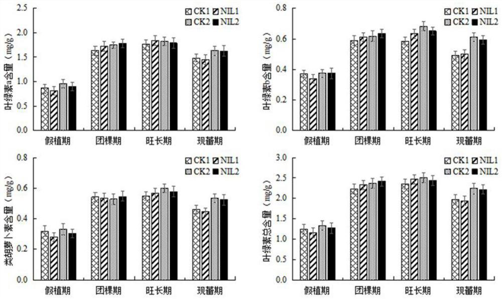 SNP marker molecule related to concentrated yellowing characters in tobacco mature period and application of SNP marker molecule